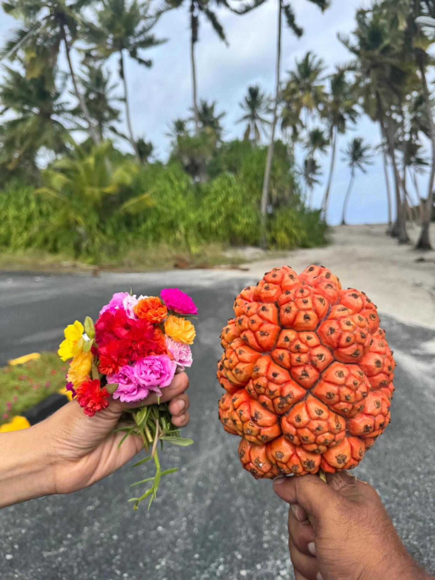 Endhaa, Divers Home Fuvahmulah Eksteriør bilde